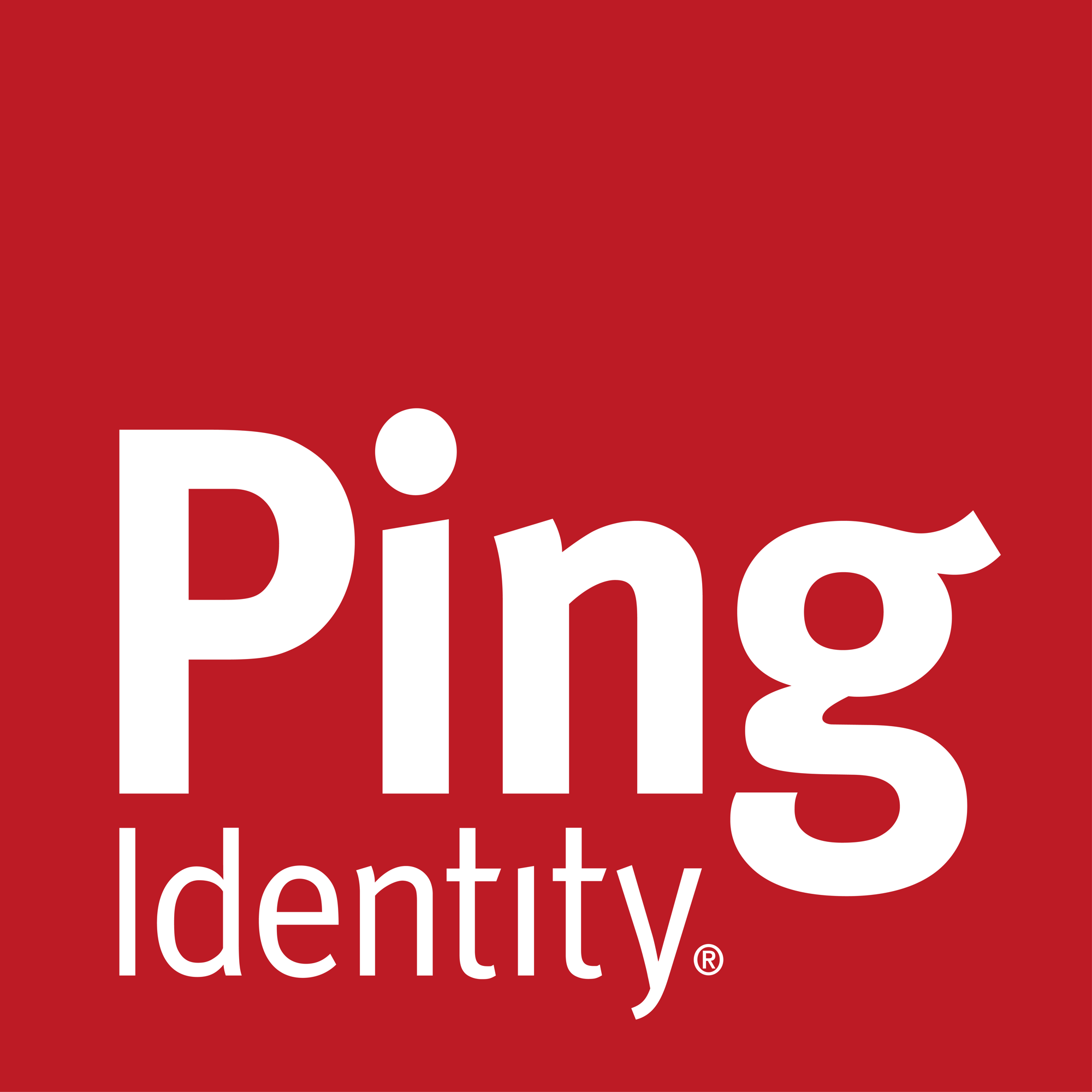 Ping Identity square at 1000mm_RGB